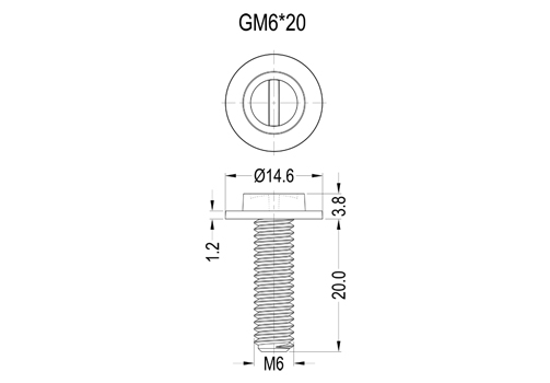 GM6X20 2D 503X350.jpg